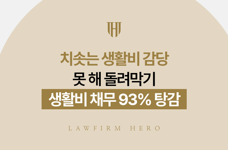 치솟는 생활비 감당 못 해 돌려막기, 생활비 채무 93% 탕감 | 법무법인 영웅 개인회생 성공사례